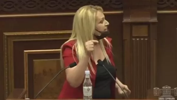 ՏԵՍԱՆՅՈՒԹ. Դուք պրոֆեսիոնալ՝ սուտասան ասեմ, ինչ ասեմ, ՔՊ-ական եք. քաղաքացին՝ «Իմ քայլի» պատգամավորներին