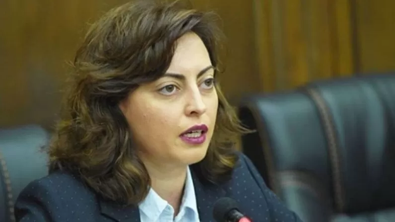 Դատարանում Լենա Նազարյանն արդարացել է, թե «իդիոտ» բառը նշանակում է «մեկուսացված մարդ»